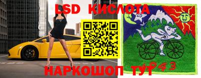 мяу мяу мука Новозыбков