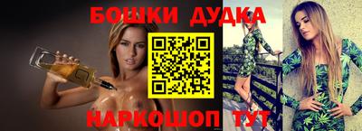 крисы Новокубанск