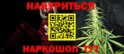 крисы Новокубанск