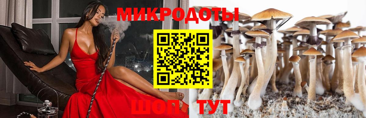 Галлюциногенные грибы Psilocybine cubensis Рыбинск